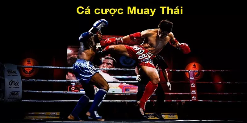 Khám Phá Cách Cược Muay Thái Săn Tiền Thưởng Khủng Về Tay