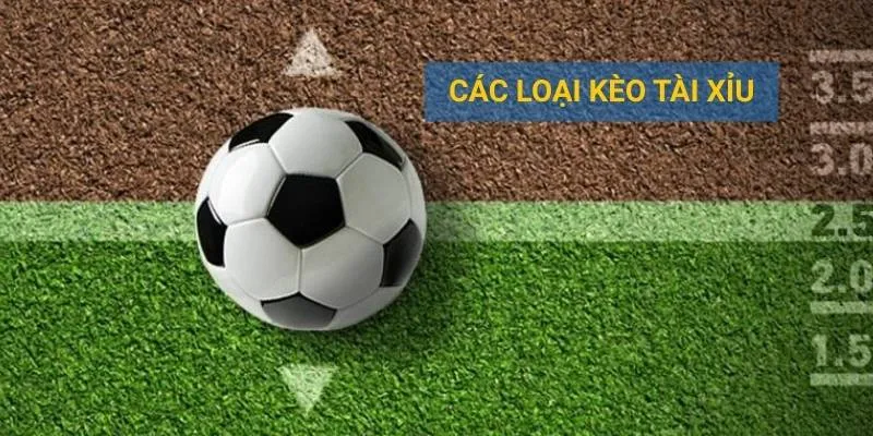 Các loại kèo tài xỉu trong bóng đá