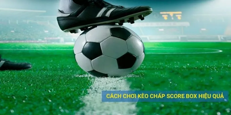 Hướng dẫn chơi kèo chấp score box hiệu quả