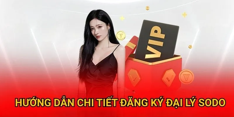 Hướng dẫn chi tiết đăng ký trở thành đại lý sodo