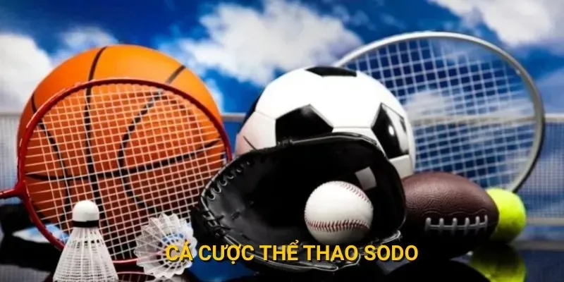 Giới thiệu về thể thao sodo