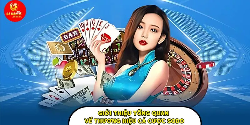 Giới thiệu thông tin tổng quan về thương hiệu cá cược sodo