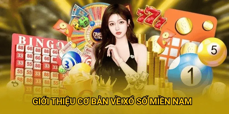 Giới thiệu cơ bản về xổ số Miền Nam sodo