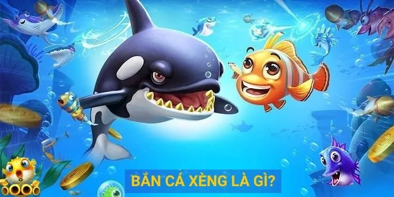 Khái quát chi tiết về bắn cá xèng sodo