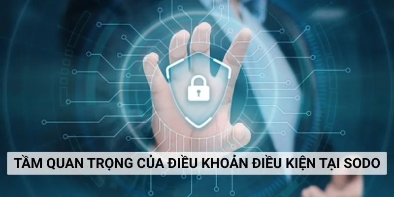 Tầm quan trọng của điều khoản và điều kiện tại sodo