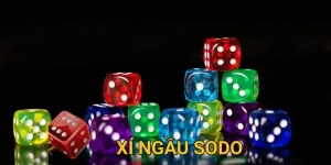 xí ngầu sodo